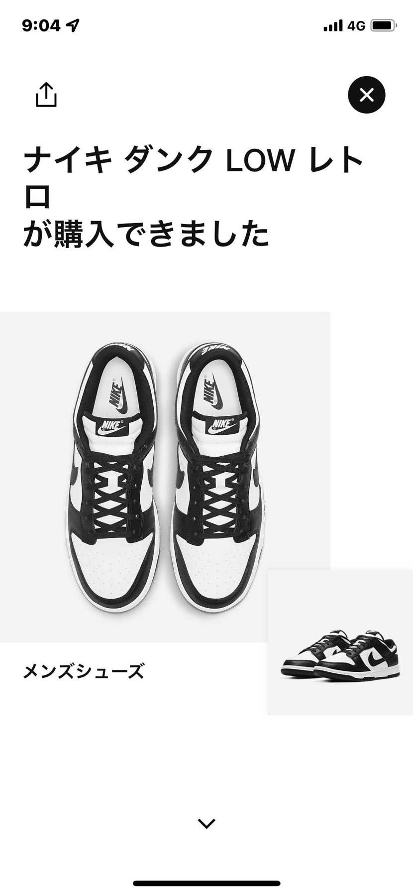 Championship Blueに続き、NIKEさんが売ってくれました👟