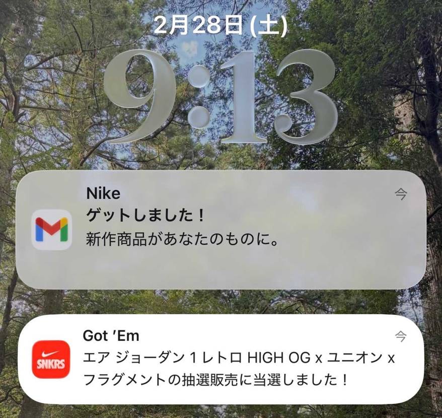 1年半ぶりにsnkrsで当選して神