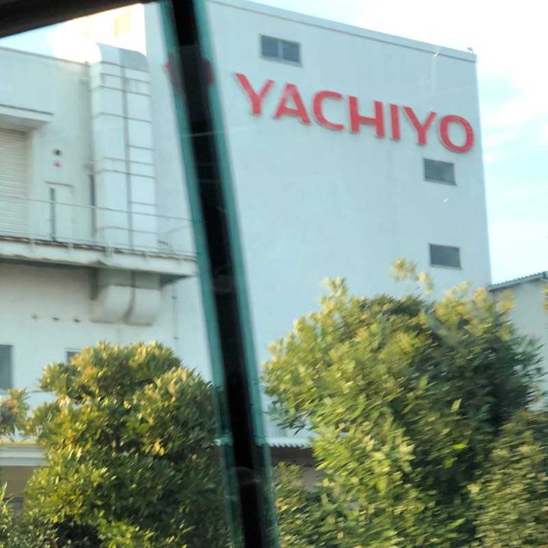 Y.Y