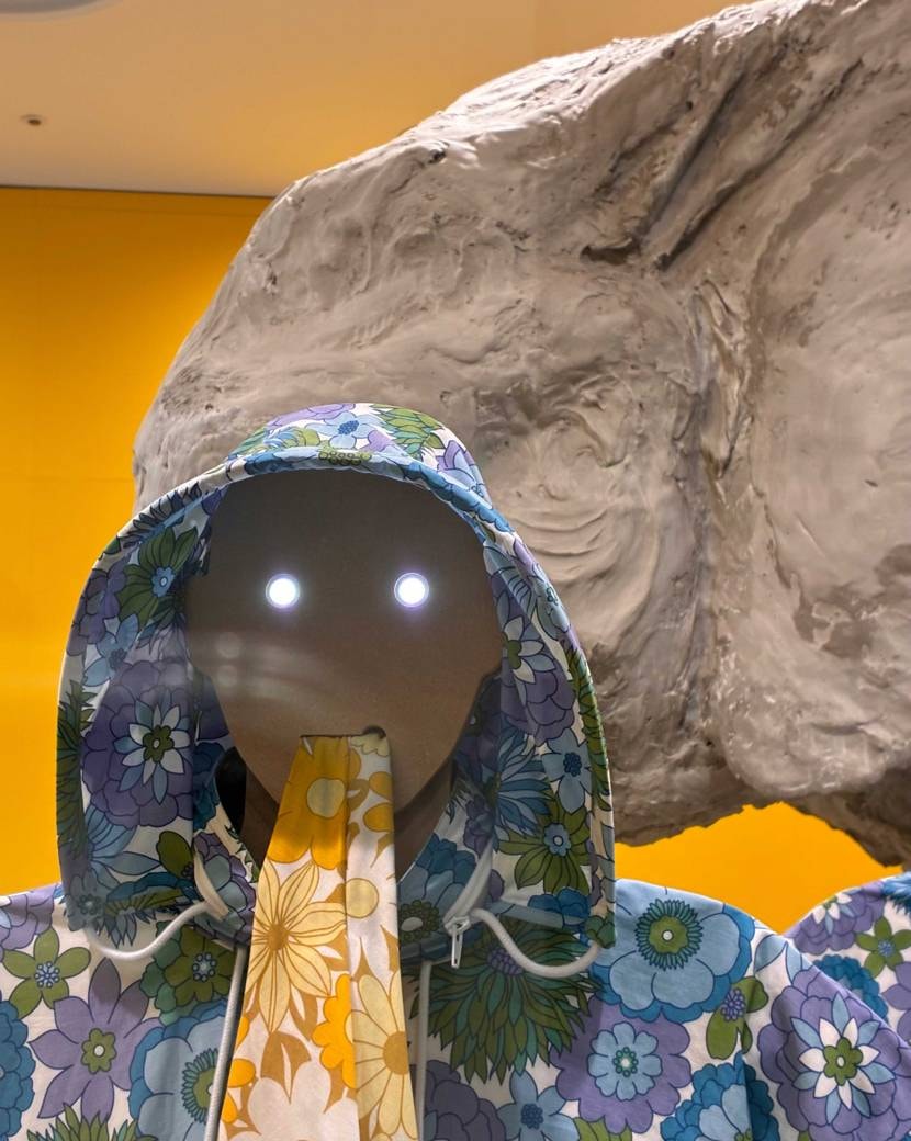 ドーバー無事(σ･∀･)σｹﾞｯﾂ!!✨✨