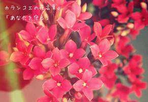 AllAloneWith(出品者)