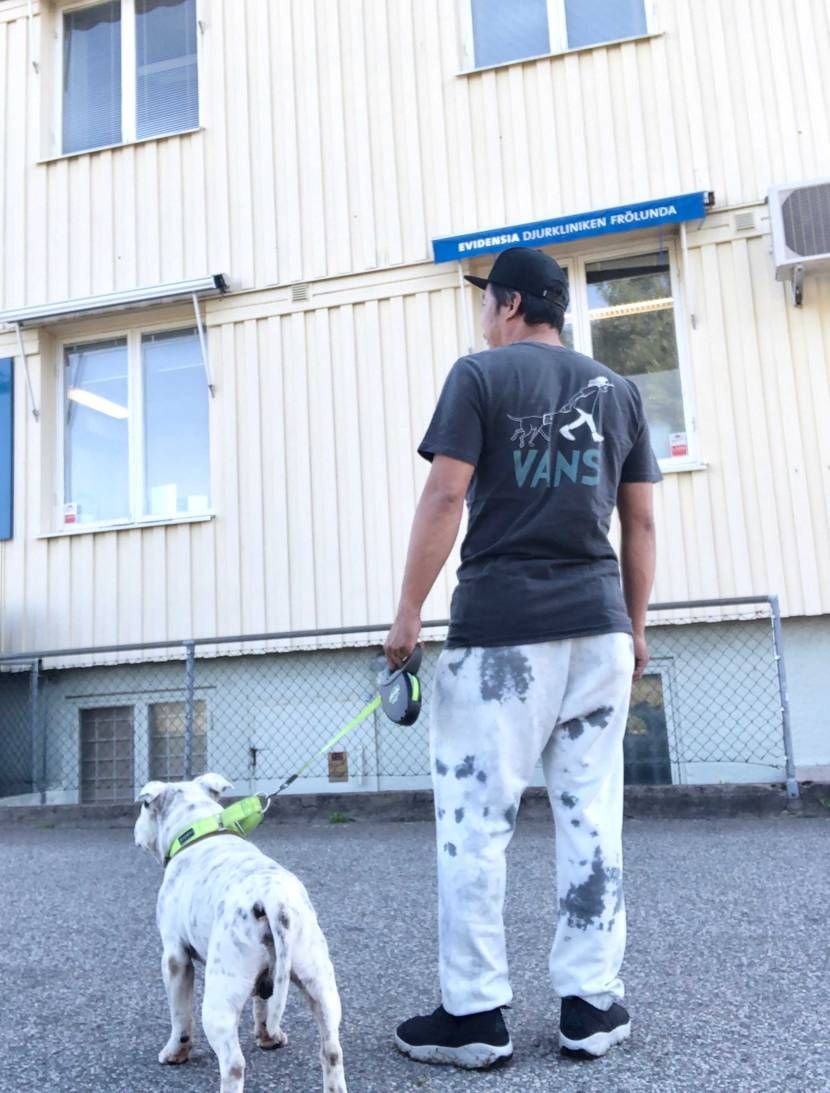 犬の健康診断に来てます。