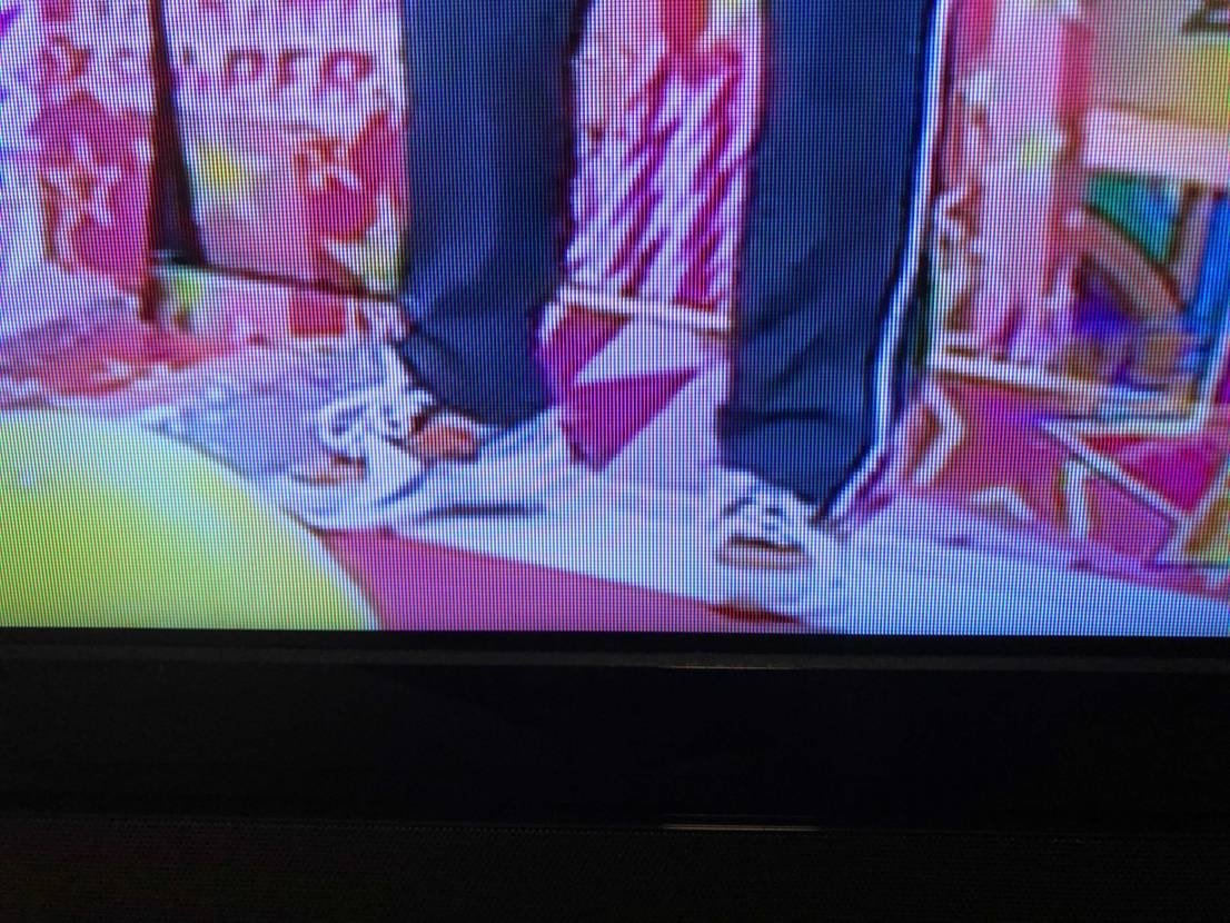 さっき見ていたテレビで本田翼さんがはいてた靴が何か分かりませ