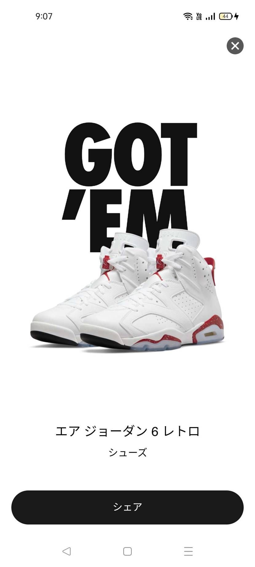 SBは毎度駄目だけどJORDANはけっこう買える😏
