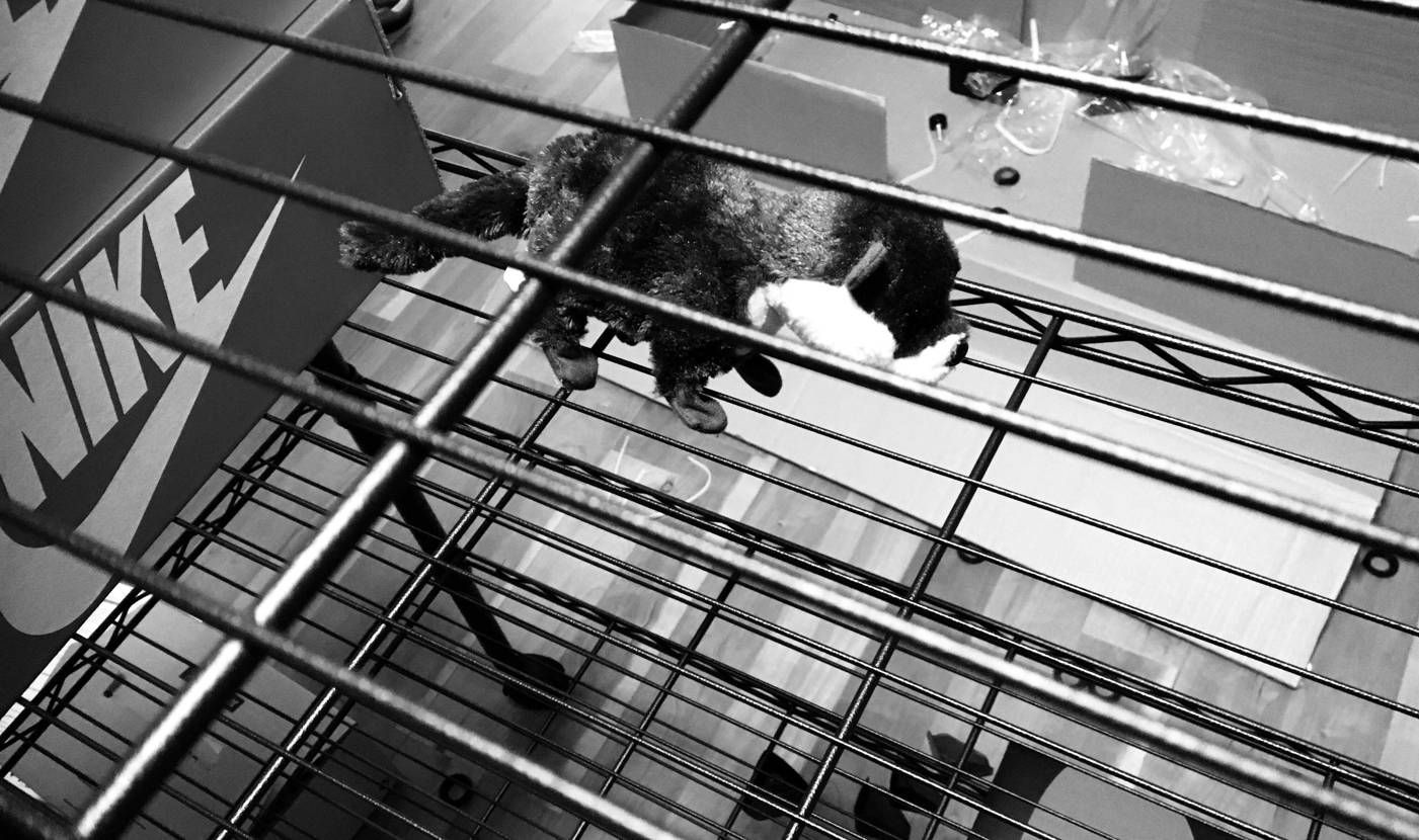 スニーカーヘッズの夏はこれからだ🔨　🌊🌞



SB