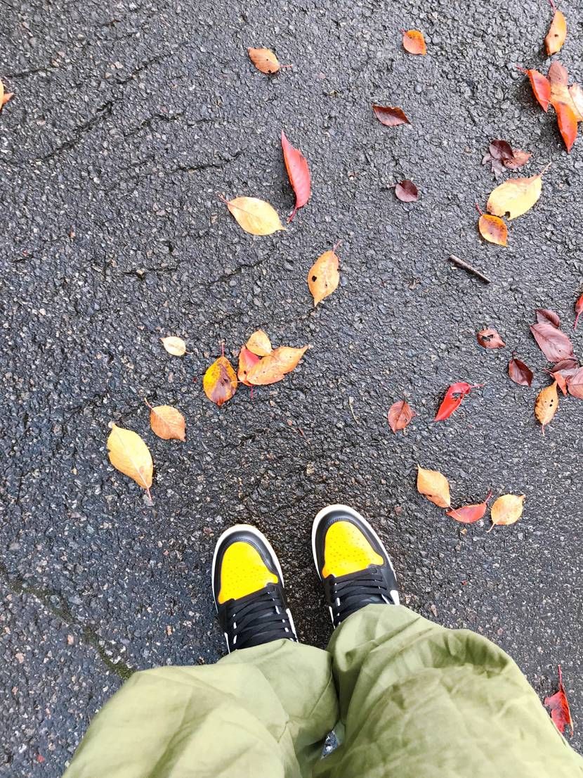 ちょっと天気は、悪かったけど、紅葉観て来ました。