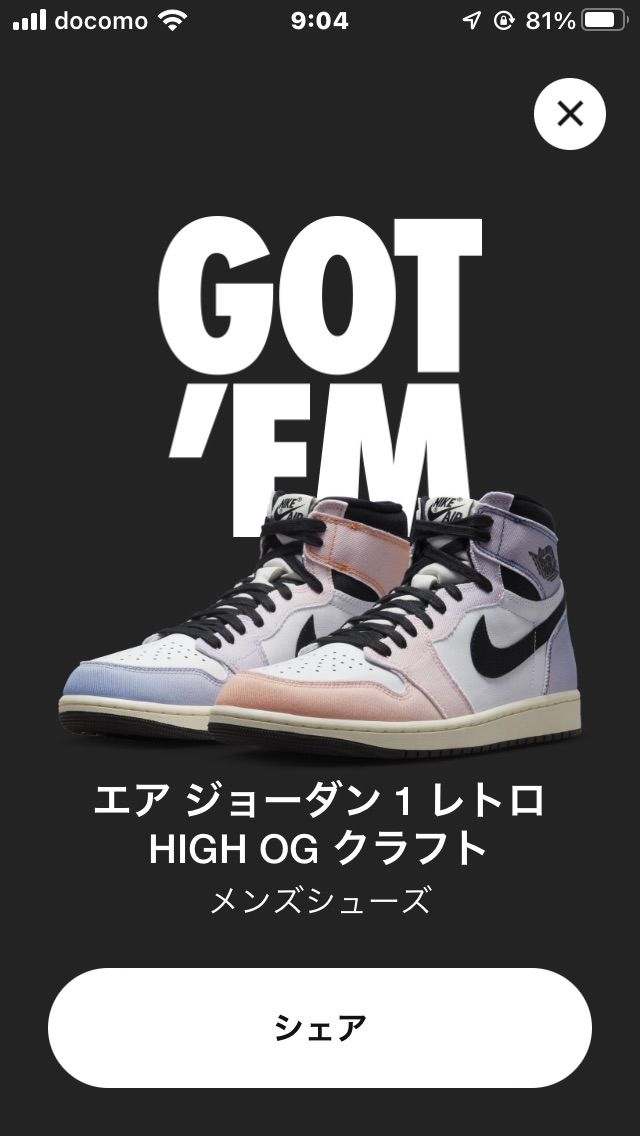 年甲斐も無く、購入しました。シュウレースも注文し楽しみです。パヤオさん、お帰りな