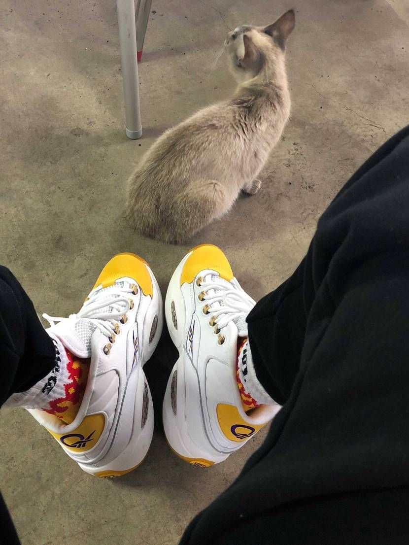 猫かわいいですね
とうもろこし欲しいって寄ってきました