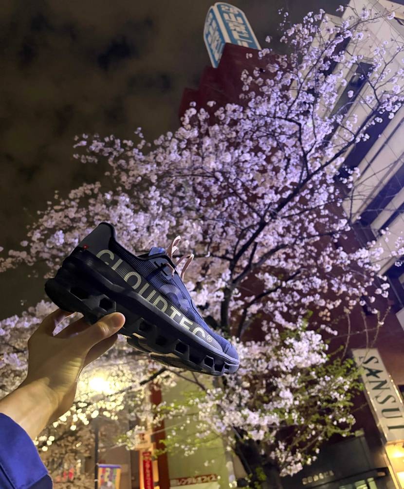 桜が良かった1週間でした〜