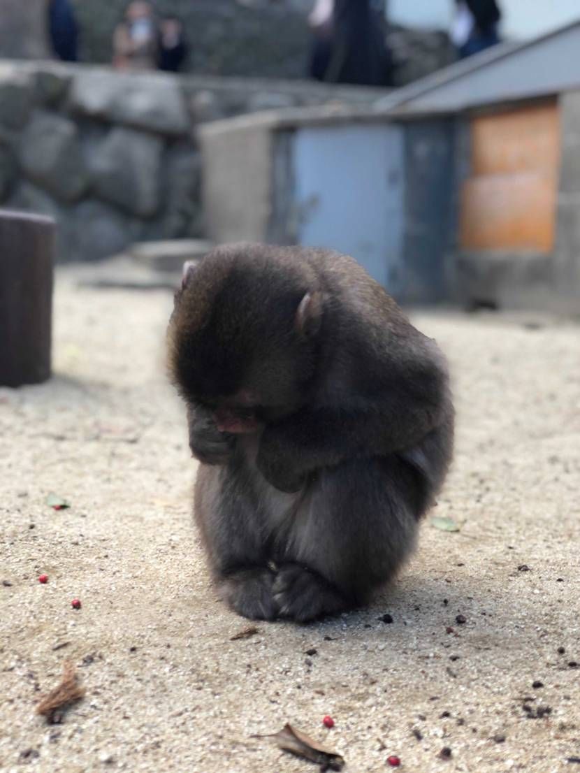 FTCとのスニーカー欲しかった😢結局定価で買えない…この夏履きたいと思ってたのに