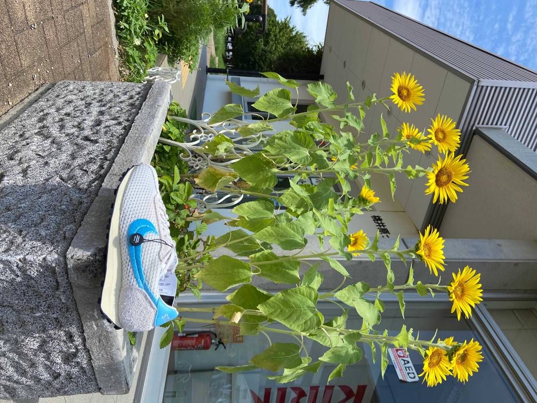 一番高い時に買いましたが良いです。履き口合皮だけど夏に良いカラー🩵