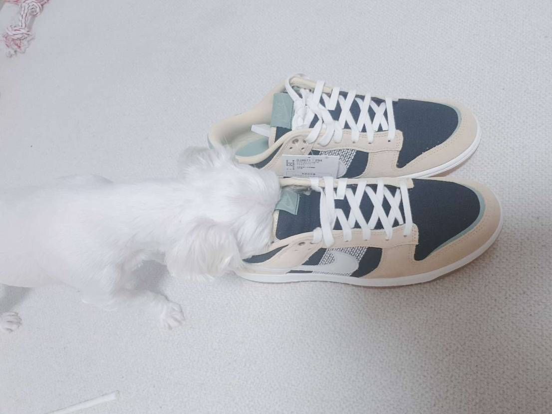 ナイキのボンド 鑑定中