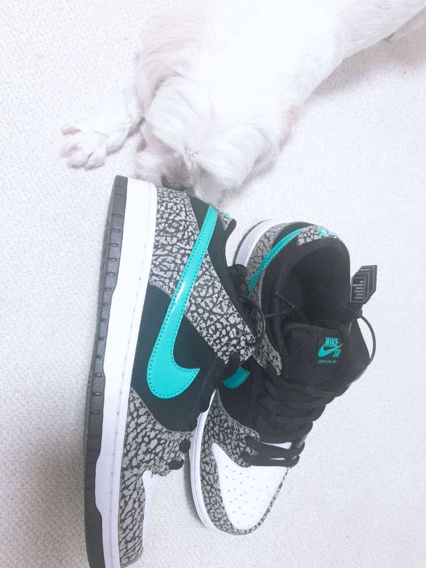 ナイキのボンド 鑑定中