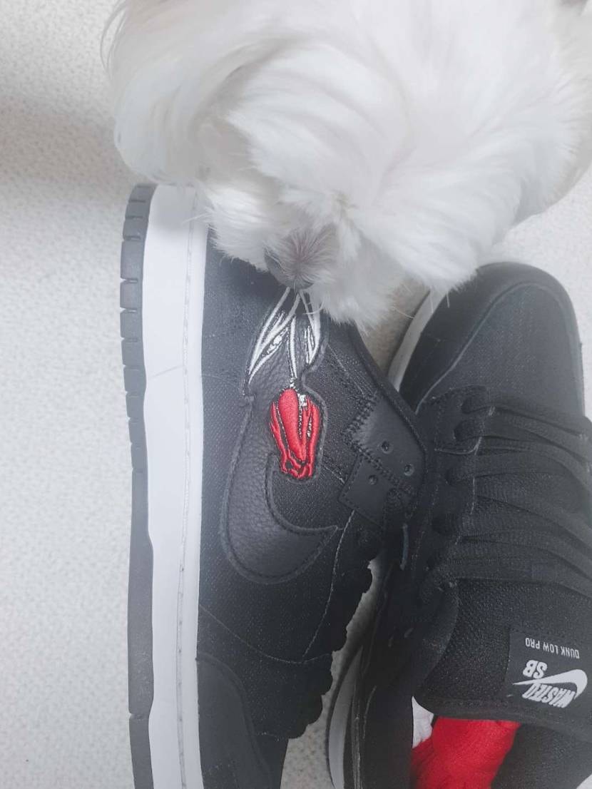 ナイキのボンド 鑑定中