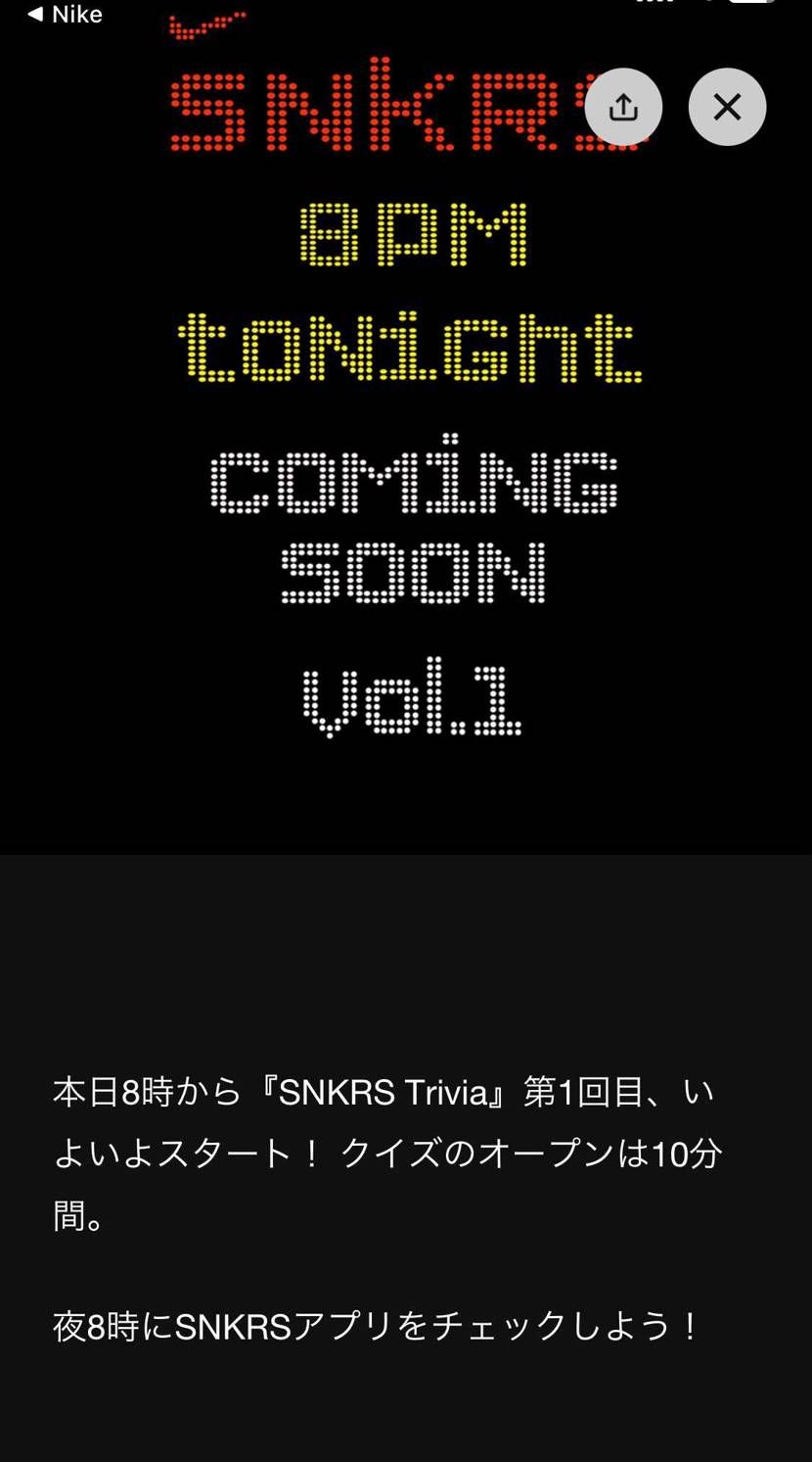 今日からクイズデー🙌