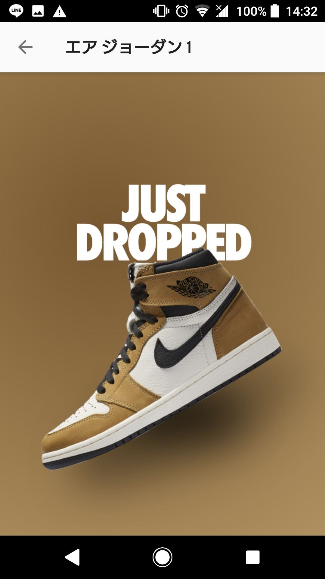 これきて今すぐ購入を押したけどかえたのかな？？
でも注文履歴にないし…おそかった