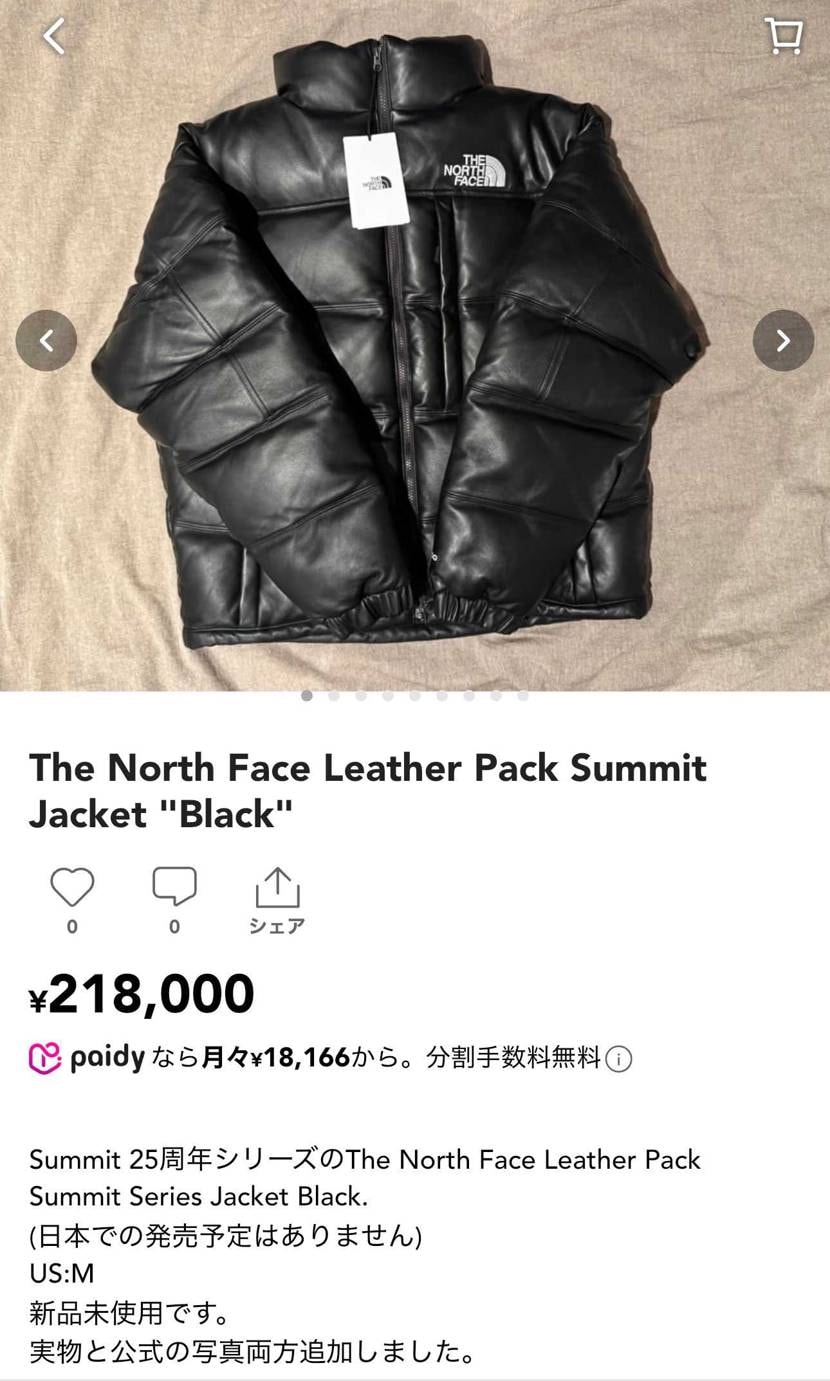 The North Face Leather Pack Summit Serie