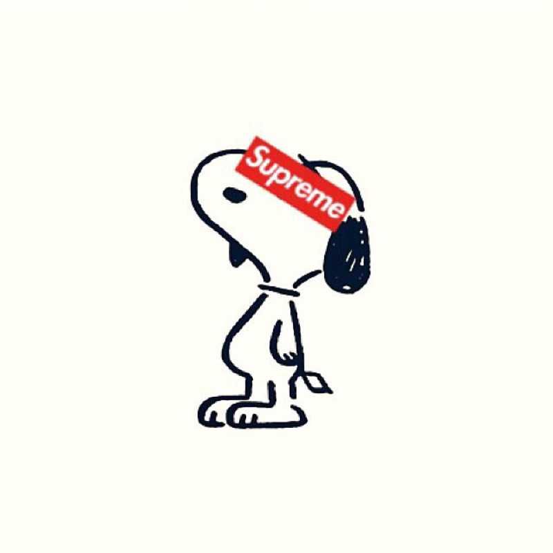 chiro
