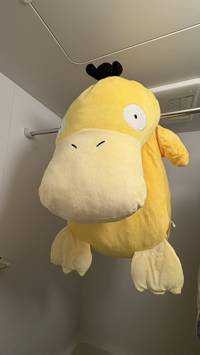 こんこん
