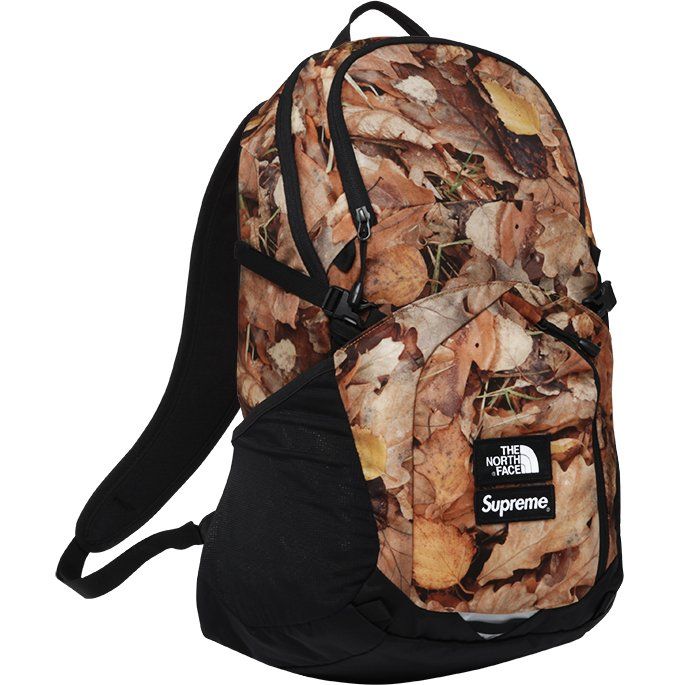 sup northのバックパックでこの二つが1番かっこいいと思う。
ここ最近の