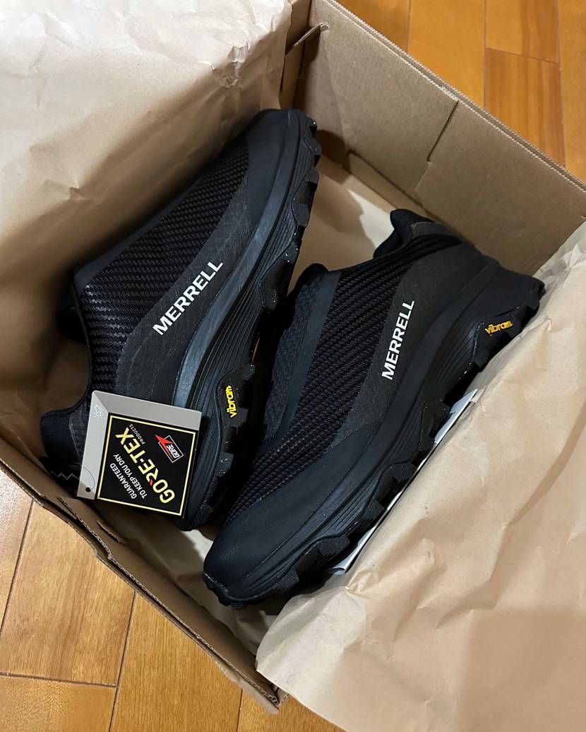 2足目のメレルさんゴテム〜
梅雨、台風乗り切るで〜
BOAも非常に気になって