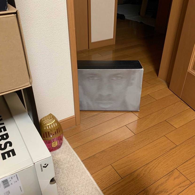 資料作成中さっきからずっと視線感じるなーって思ってたんだよなー(クソ投稿過ぎて御