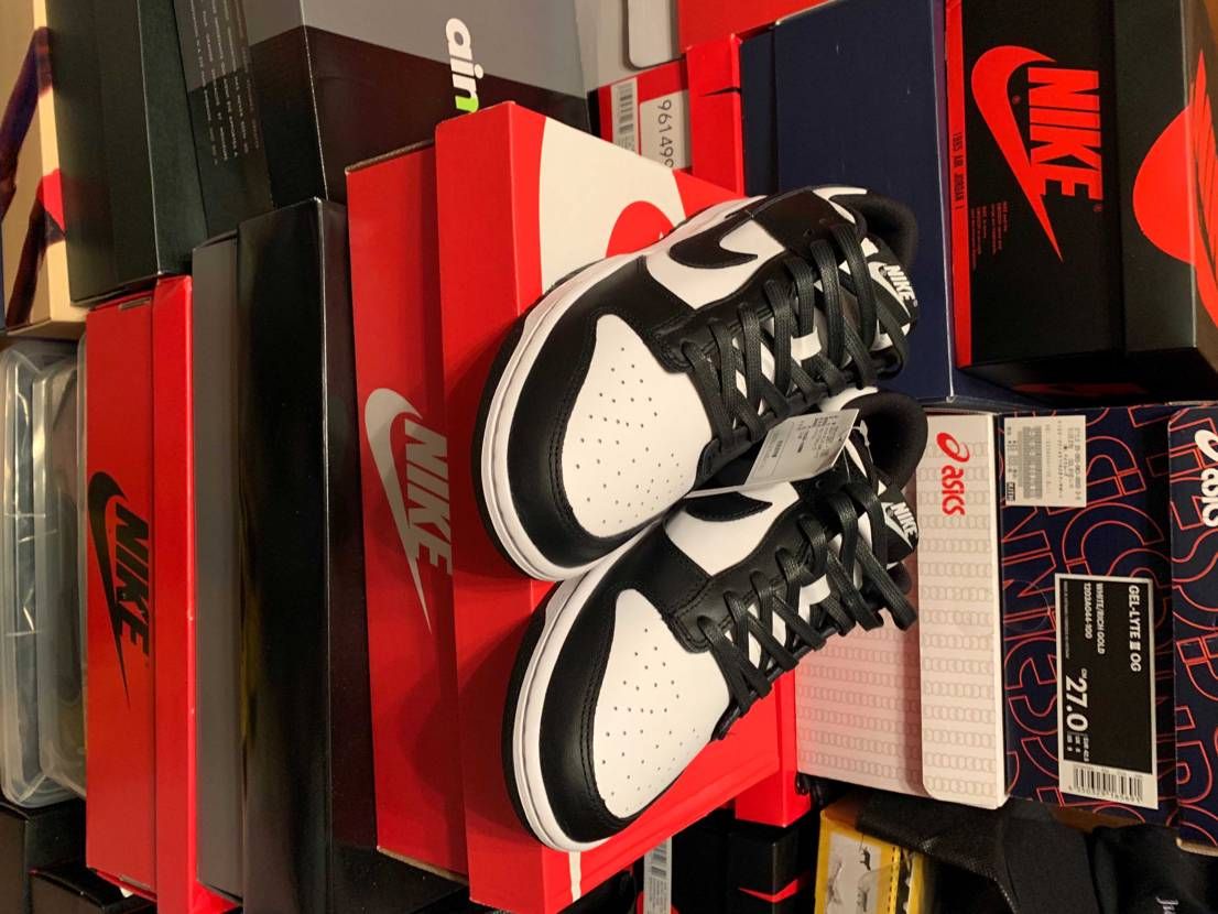 ネバダ欲しかったけど白黒買えたからとりあえず我慢😰
シューレース交換しました