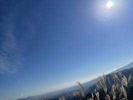 sunnssy