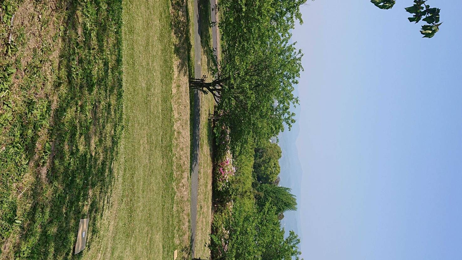 今日は近くの公園で子供と遊びました♪
山のふもとの田舎なの