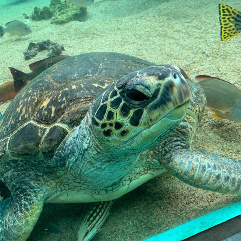 ユーザーアイコン