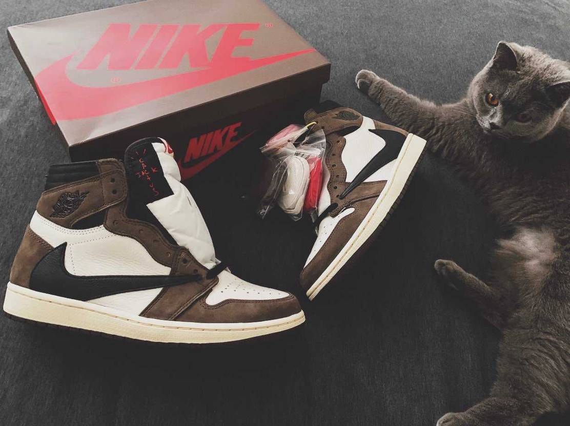 this is why we are sneakers.