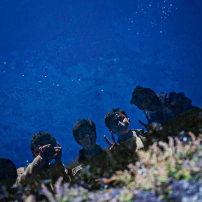 古谷 成海(出品者)