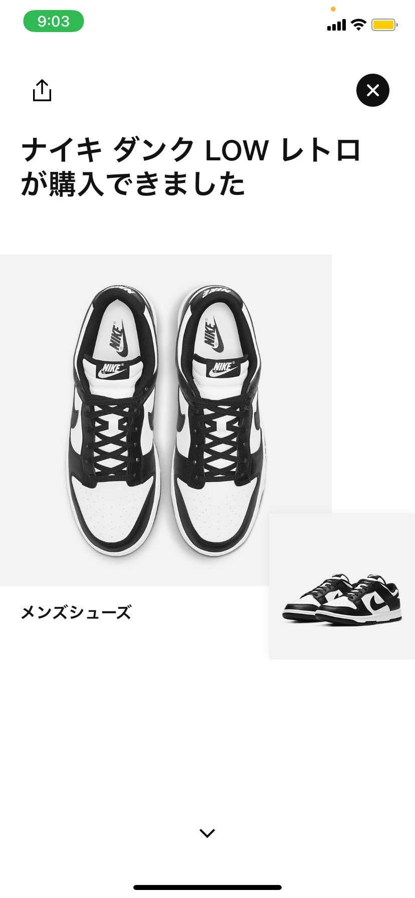 五分以内にきました！初NIKEアプリでの当選。履き潰します。#
