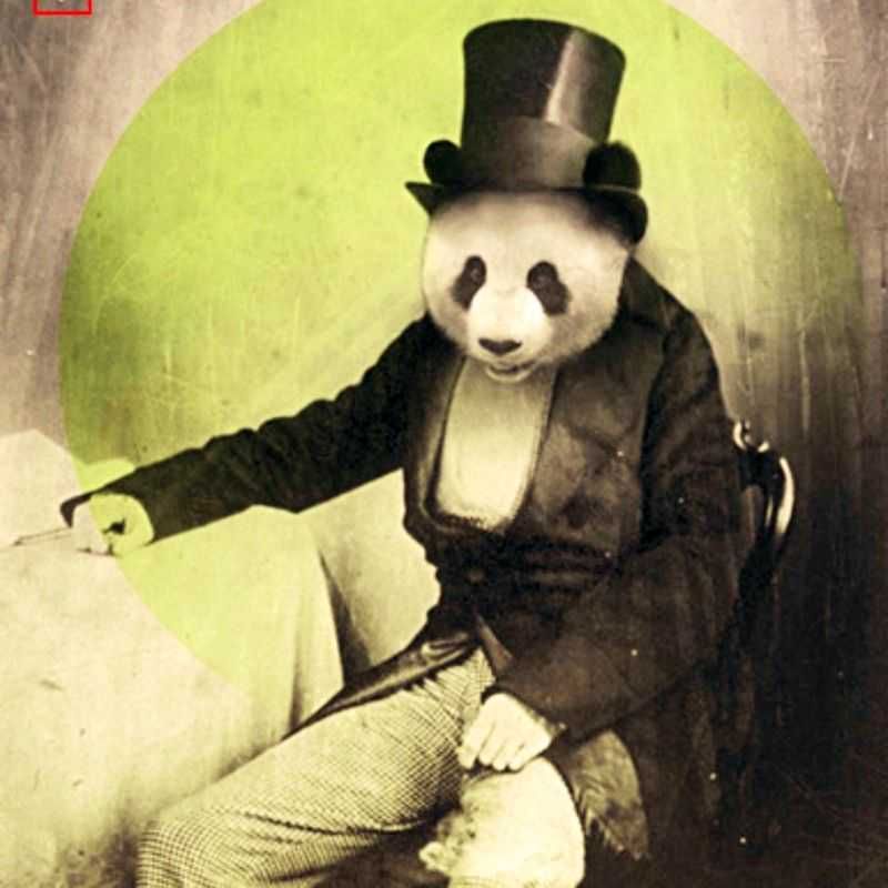 panda(出品者)