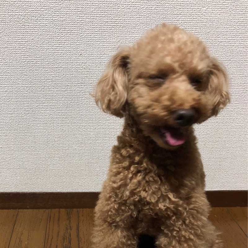 やました