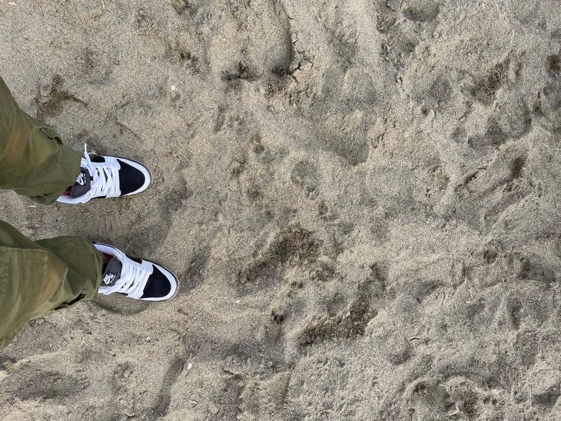 分かりづらいけど海。
タイトブースかっこいい😁