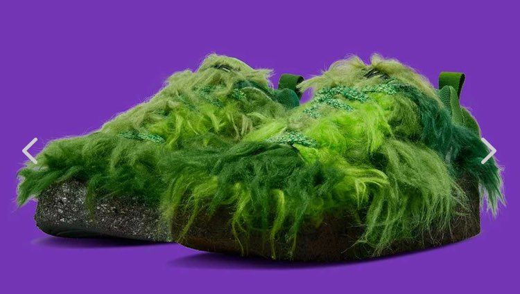 亀の甲羅に生えてるやつだ😳