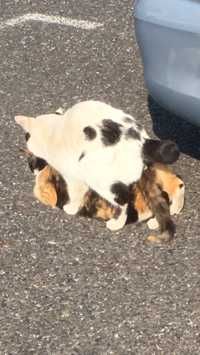 ユーザーアイコン