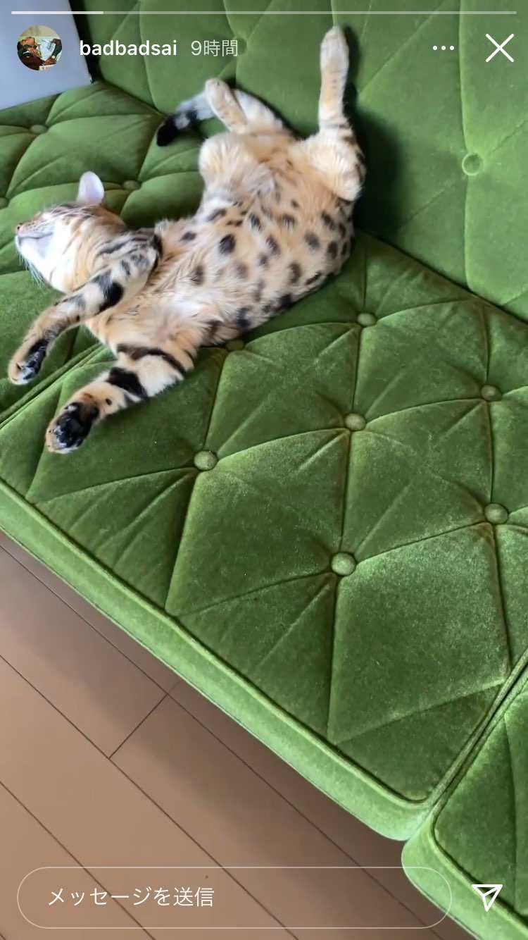 APHRODITEGANGHOLDINGS