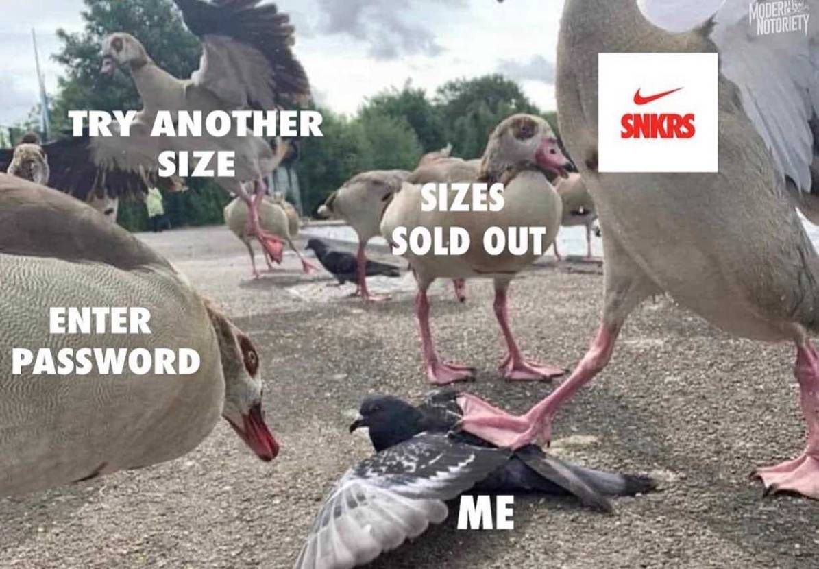 フルボッコです