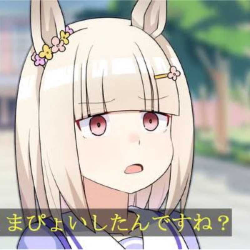 貍