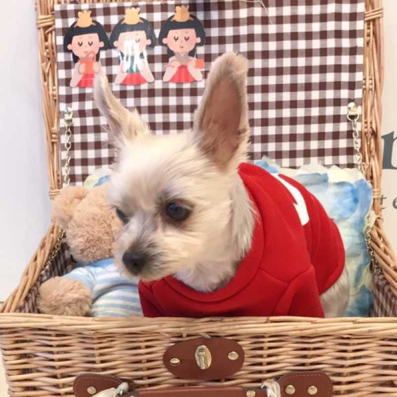 小林ゆ
