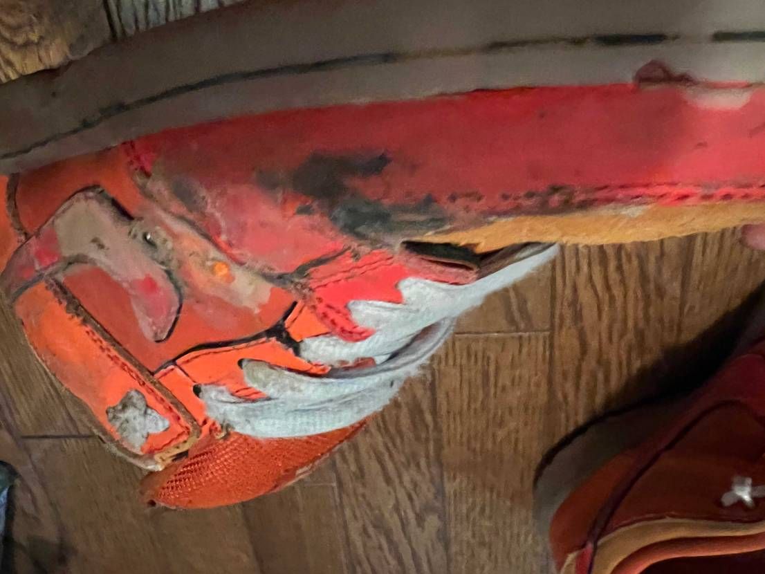 NIKE DUNK LOW PRO SB 'FIRE & I