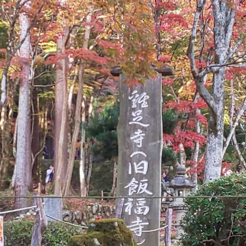 鷲見千秋(出品者)