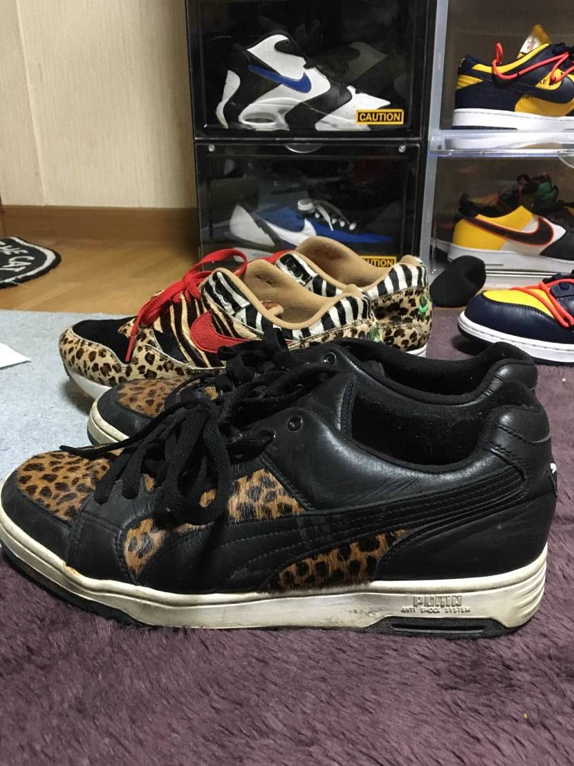 アニマル対決　
NIKE 🆚 PUMA
🐅🐆🦓🦒
皆様はどちらがお好みです