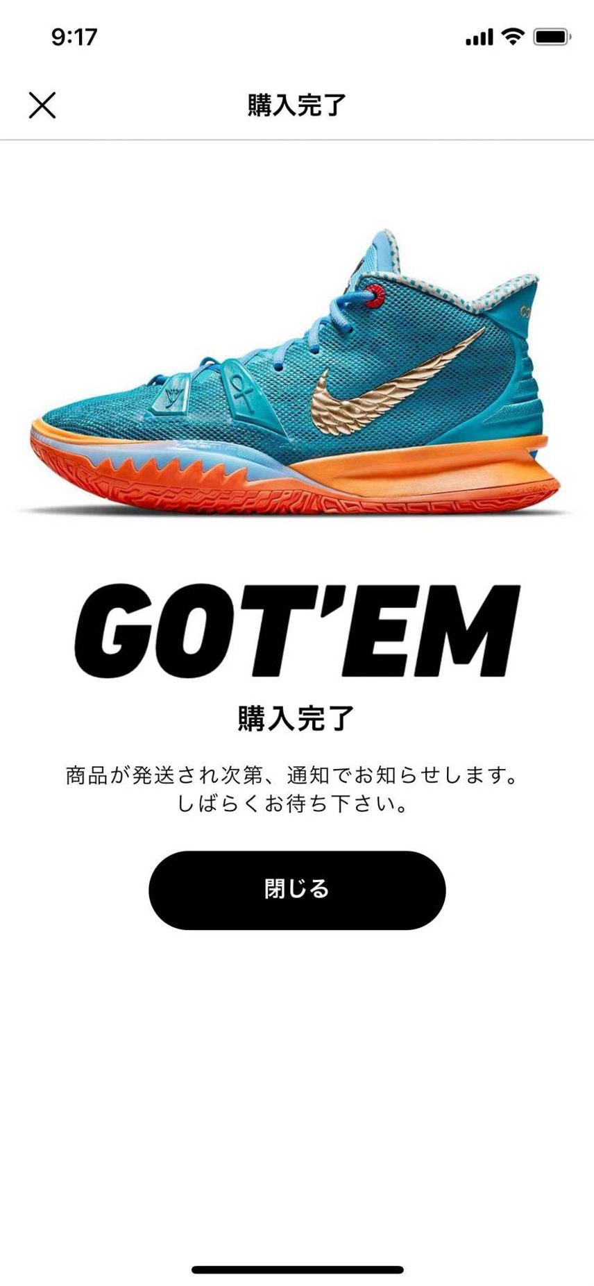カイリー6もカイブリットも普段履きの28.5㌢だとキツかったので、今回は29㌢で