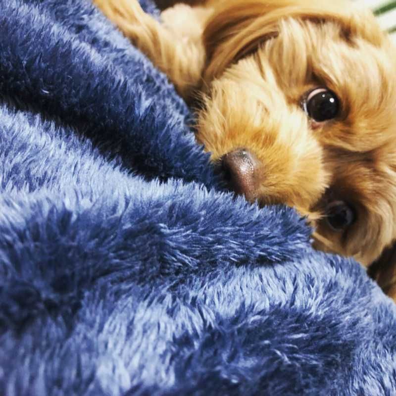こうへい