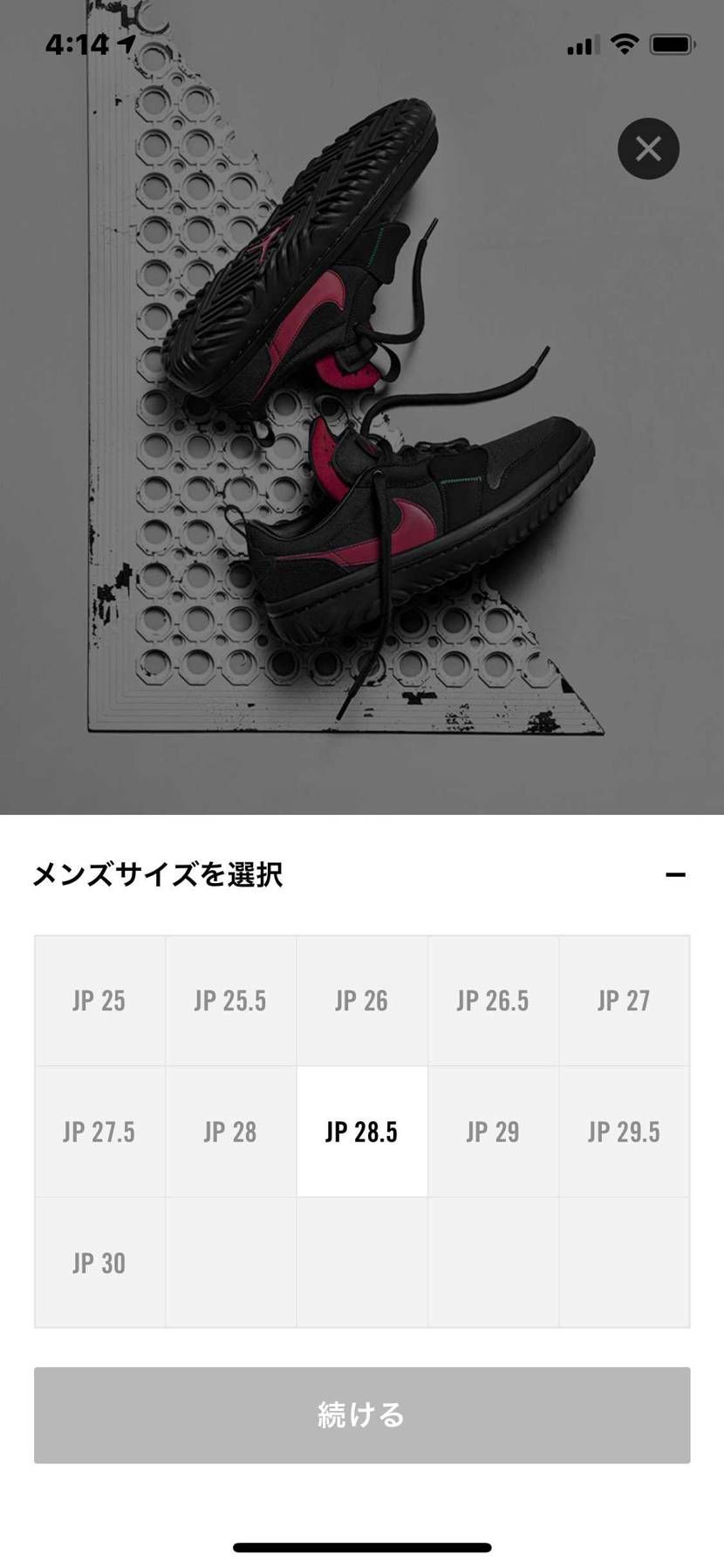 こやつも🐿⁉️
