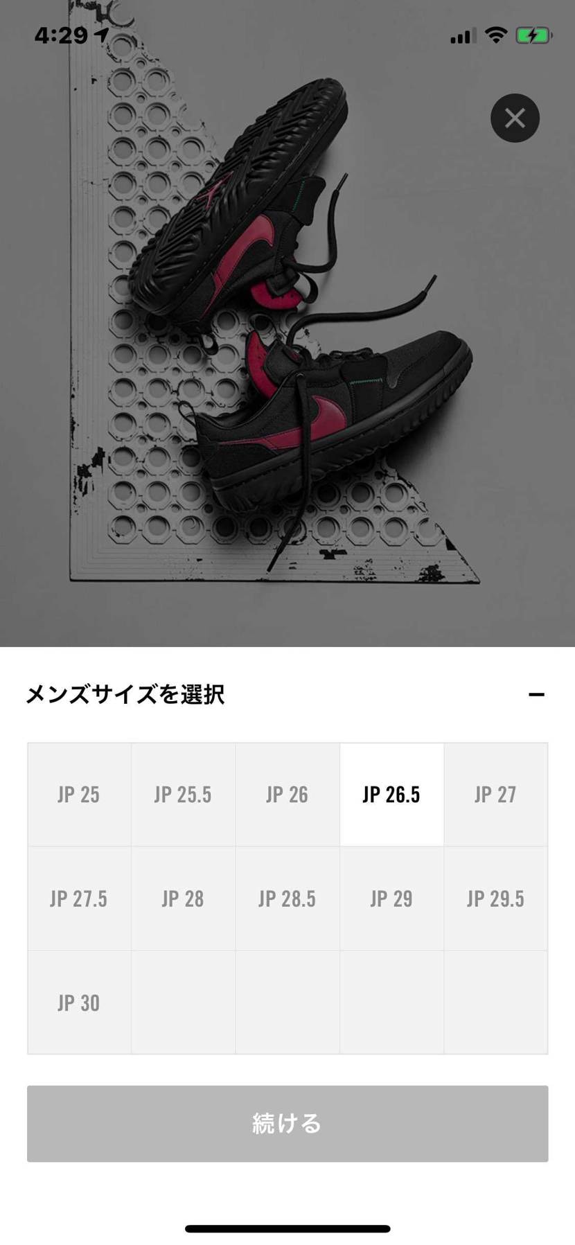 🐿出てますね