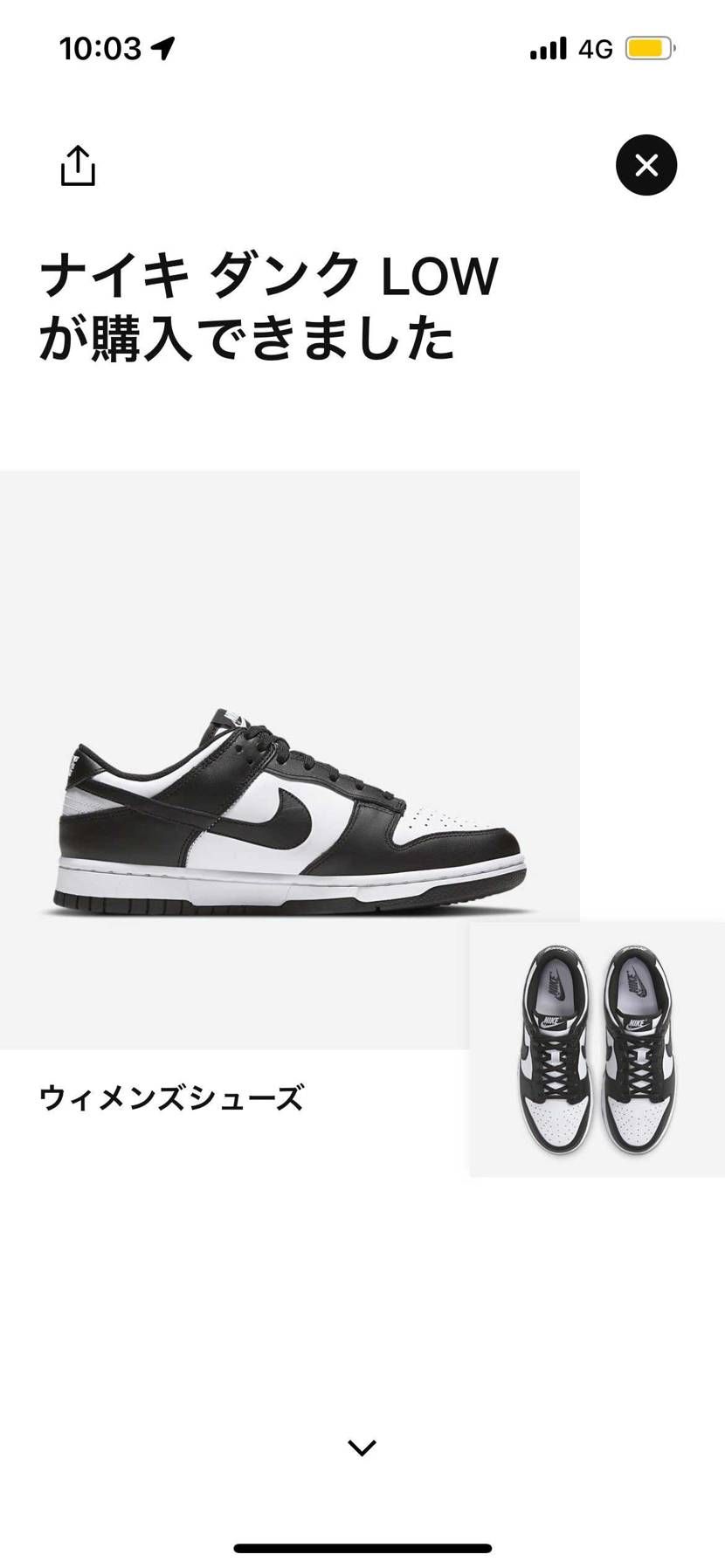 パンダダンク支援✌️
